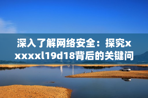 深入了解网络安全：探究xxxxxl19d18背后的关键问题)