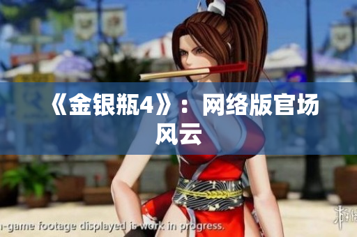 《金银瓶4》：网络版官场风云