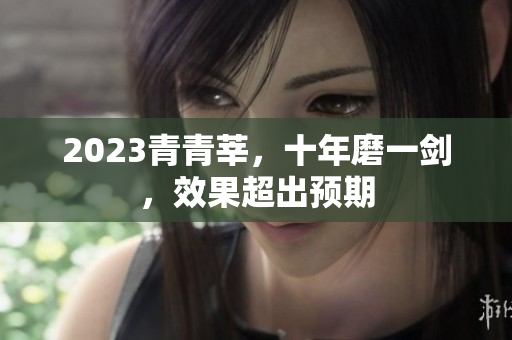 2023青青莘，十年磨一剑，效果超出预期