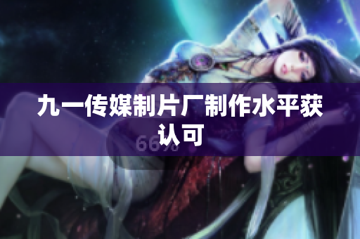 九一传媒制片厂制作水平获认可