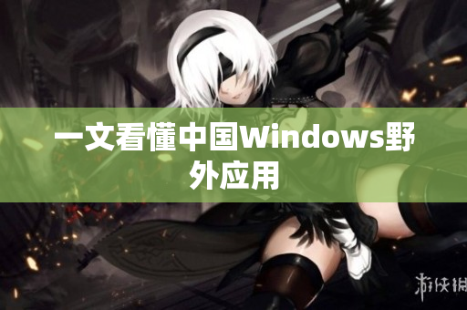 一文看懂中国Windows野外应用
