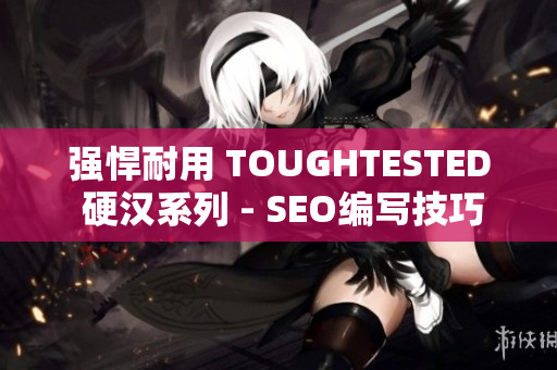 强悍耐用 TOUGHTESTED 硬汉系列 - SEO编写技巧