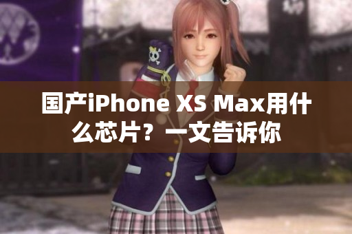 国产iPhone XS Max用什么芯片？一文告诉你