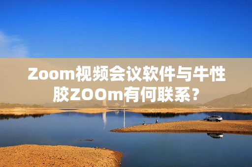 Zoom视频会议软件与牛性胶ZOOm有何联系？