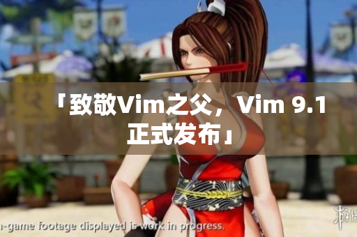「致敬Vim之父，Vim 9.1正式发布」