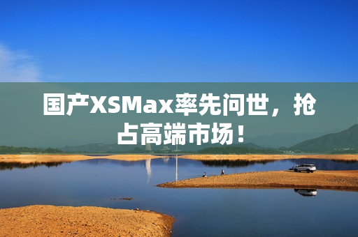 国产XSMax率先问世，抢占高端市场！
