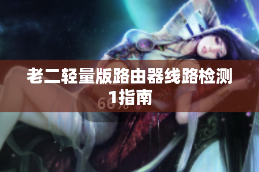 老二轻量版路由器线路检测1指南