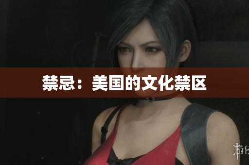 禁忌：美国的文化禁区