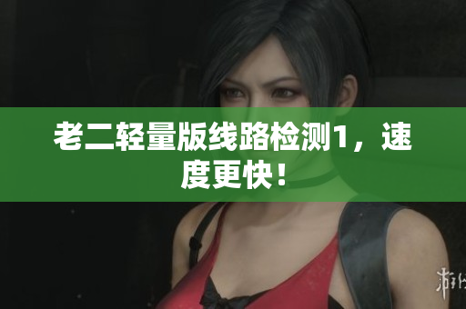 老二轻量版线路检测1，速度更快！