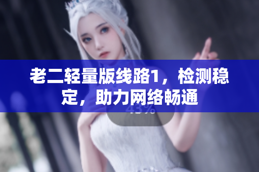 老二轻量版线路1，检测稳定，助力网络畅通