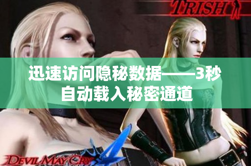 迅速访问隐秘数据——3秒自动载入秘密通道