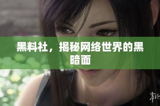 黑料社，揭秘网络世界的黑暗面
