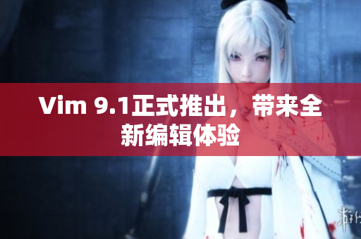 Vim 9.1正式推出，带来全新编辑体验
