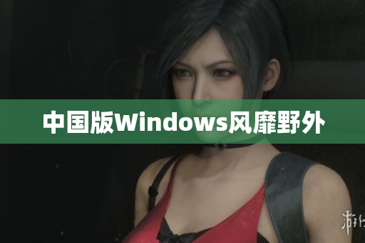 中国版Windows风靡野外