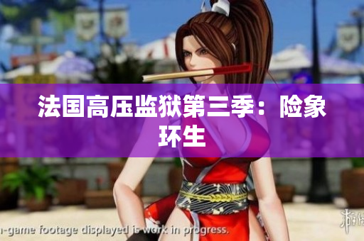法国高压监狱第三季：险象环生