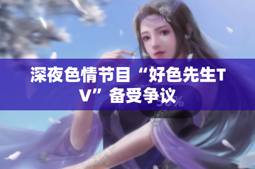 深夜色情节目“好色先生TV”备受争议