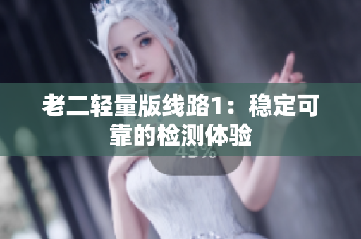 老二轻量版线路1：稳定可靠的检测体验