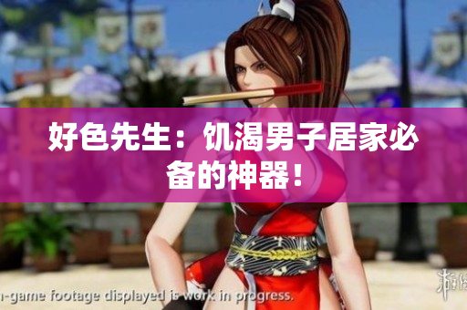 好色先生：饥渴男子居家必备的神器！