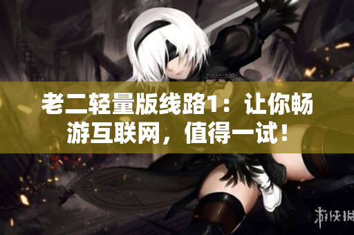 老二轻量版线路1：让你畅游互联网，值得一试！
