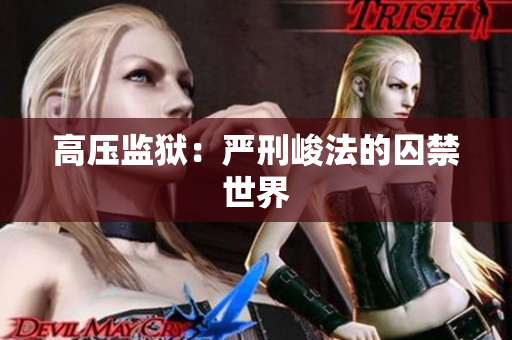 高压监狱：严刑峻法的囚禁世界