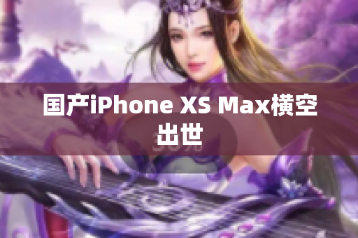 国产iPhone XS Max横空出世