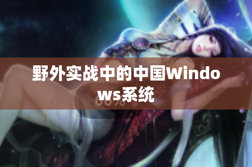 野外实战中的中国Windows系统