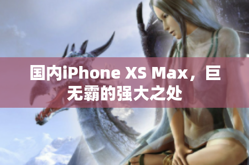 国内iPhone XS Max，巨无霸的强大之处