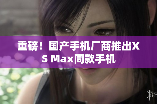 重磅！国产手机厂商推出XS Max同款手机