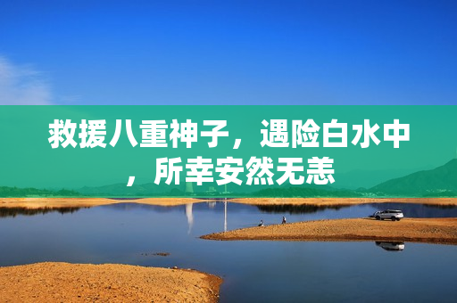 救援八重神子，遇险白水中，所幸安然无恙