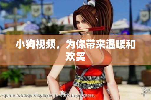 小狗视频，为你带来温暖和欢笑