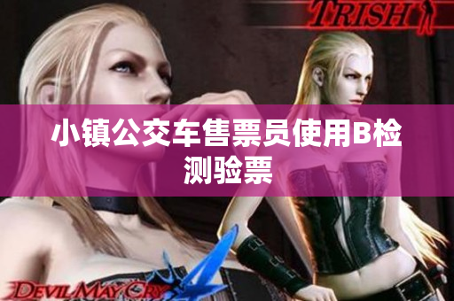 小镇公交车售票员使用B检测验票