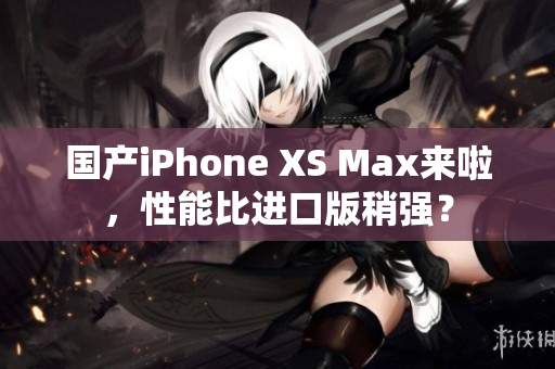 国产iPhone XS Max来啦，性能比进口版稍强？