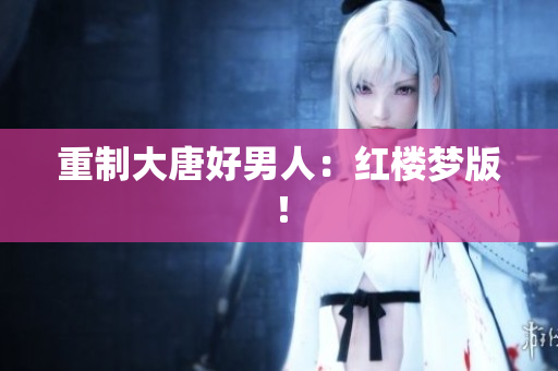 重制大唐好男人：红楼梦版！