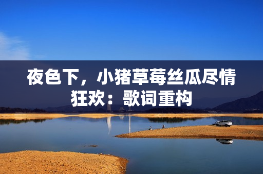 夜色下，小猪草莓丝瓜尽情狂欢：歌词重构