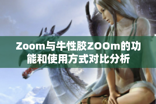 Zoom与牛性胶ZOOm的功能和使用方式对比分析