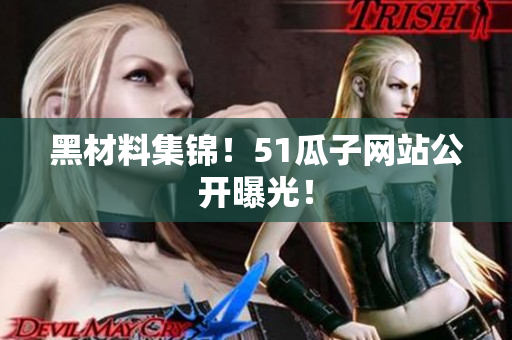 黑材料集锦！51瓜子网站公开曝光！