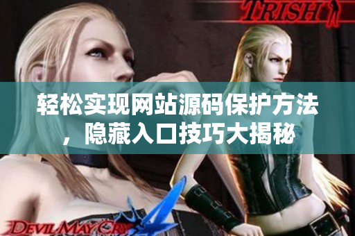 轻松实现网站源码保护方法，隐藏入口技巧大揭秘