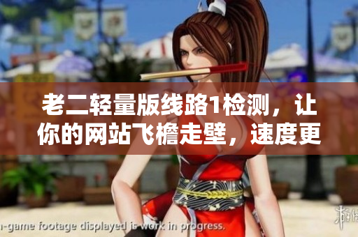 老二轻量版线路1检测，让你的网站飞檐走壁，速度更给力！