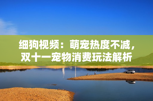 细狗视频：萌宠热度不减，双十一宠物消费玩法解析