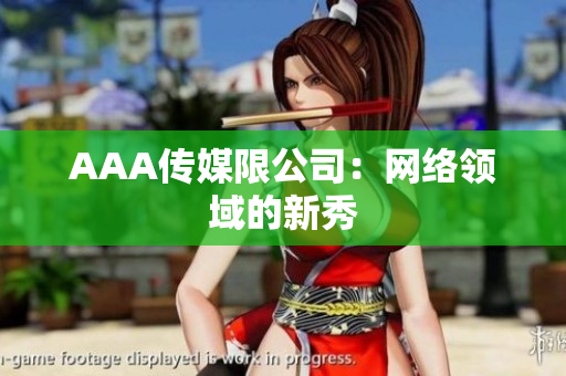 AAA传媒限公司：网络领域的新秀
