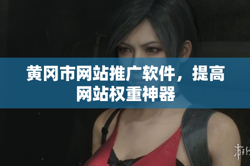 黄冈市网站推广软件，提高网站权重神器