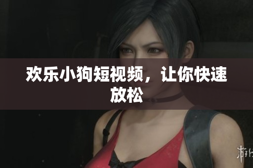 欢乐小狗短视频，让你快速放松