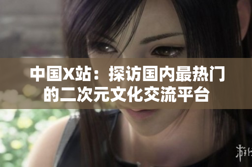 中国X站：探访国内最热门的二次元文化交流平台