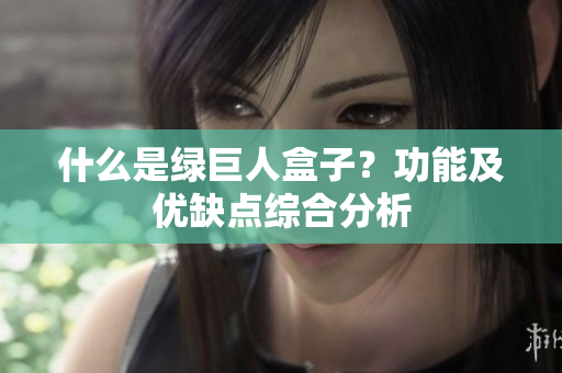 什么是绿巨人盒子？功能及优缺点综合分析