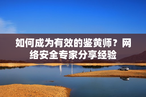 如何成为有效的鉴黄师？网络安全专家分享经验