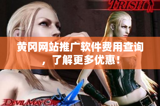 黄冈网站推广软件费用查询，了解更多优惠！