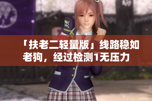 「扶老二轻量版」线路稳如老狗，经过检测1无压力