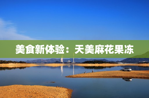 美食新体验：天美麻花果冻