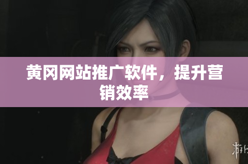 黄冈网站推广软件，提升营销效率