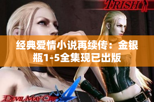 经典爱情小说再续传：金银瓶1-5全集现已出版